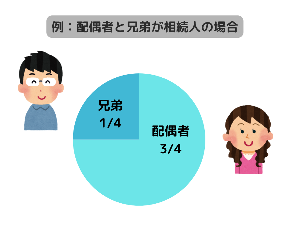 配偶者と兄弟が相続人の場合